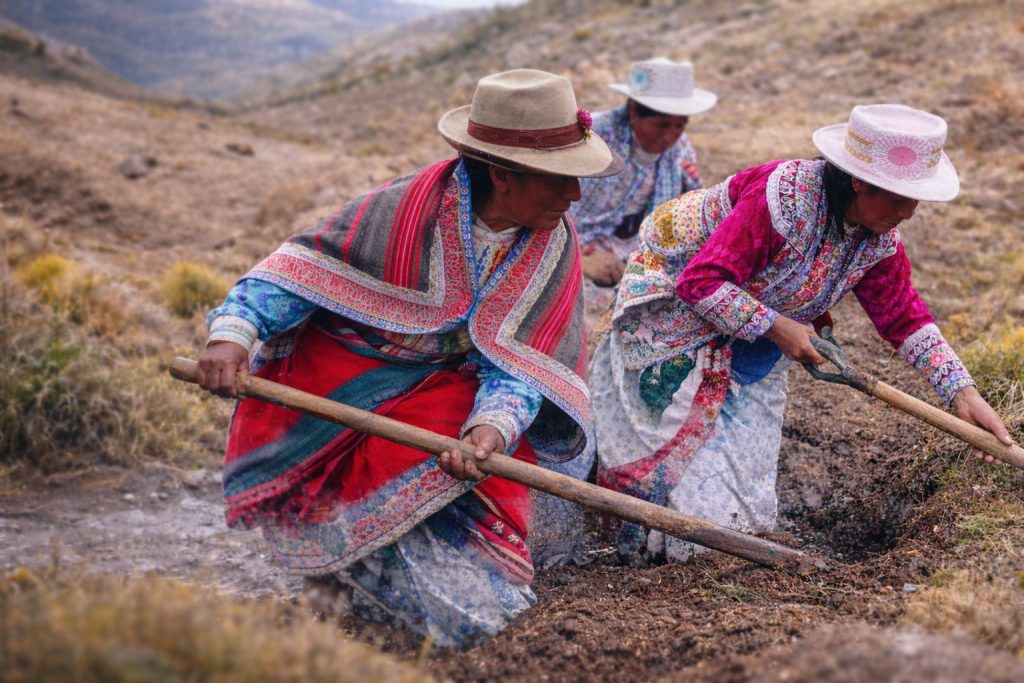 Diplomado Enfoque STEM+ para la gestión sostenible del agua: Diseñando soluciones desde la escuela