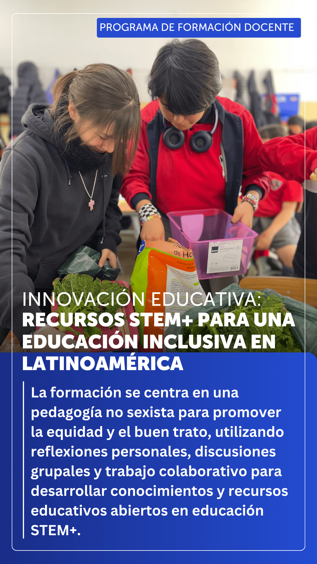 Programa de Formación Docente STEM+ | Versión 2025