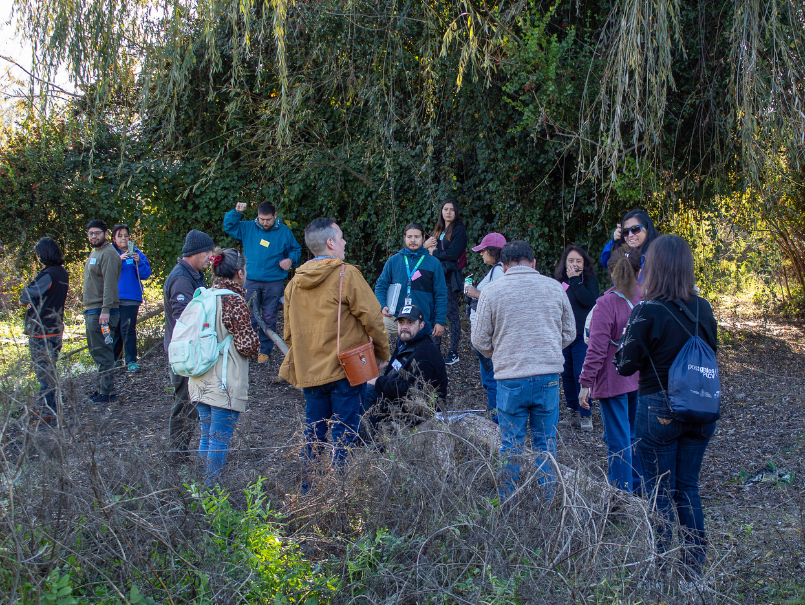 Docentes en formación del Programa ICEC PUCV protagonizan salida pedagógica al Humedal Mayaca para vincular educación científica y territorio