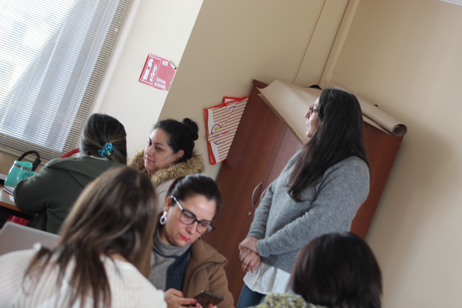 Programa Formación STEM+ CIDSTEM PUCV
