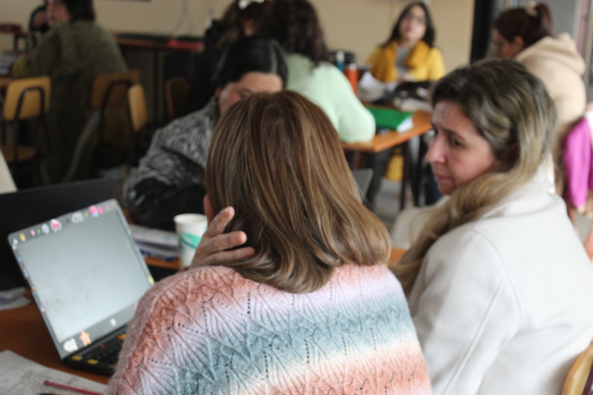 Programa Formación STEM+ CIDSTEM PUCV