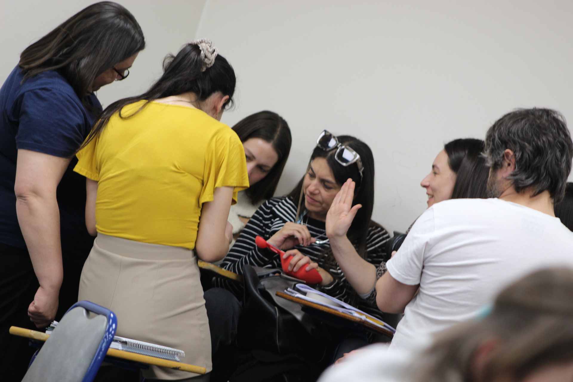 Programa Formación STEM+ CIDSTEM PUCV