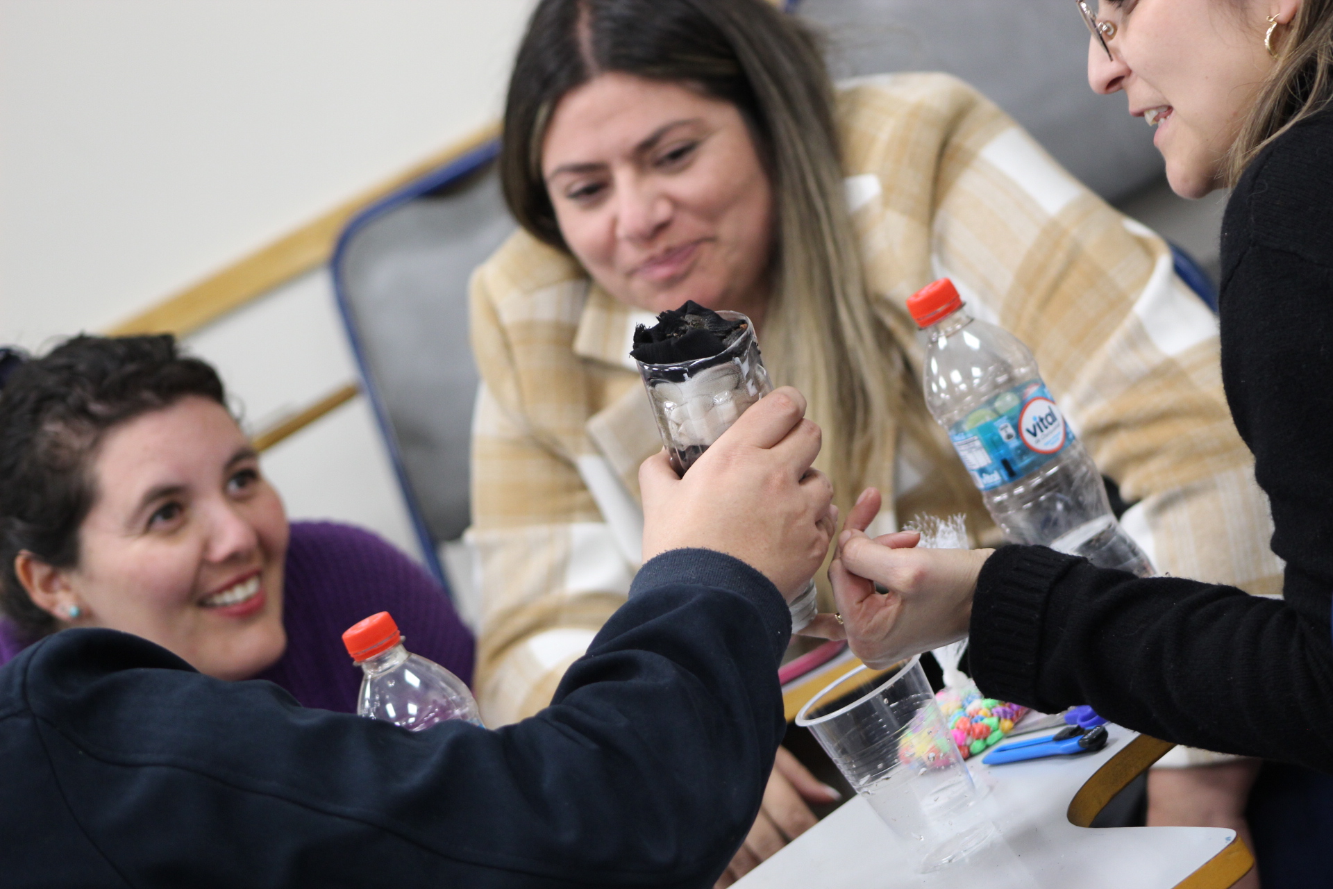 Programa Formación STEM+ CIDSTEM PUCV