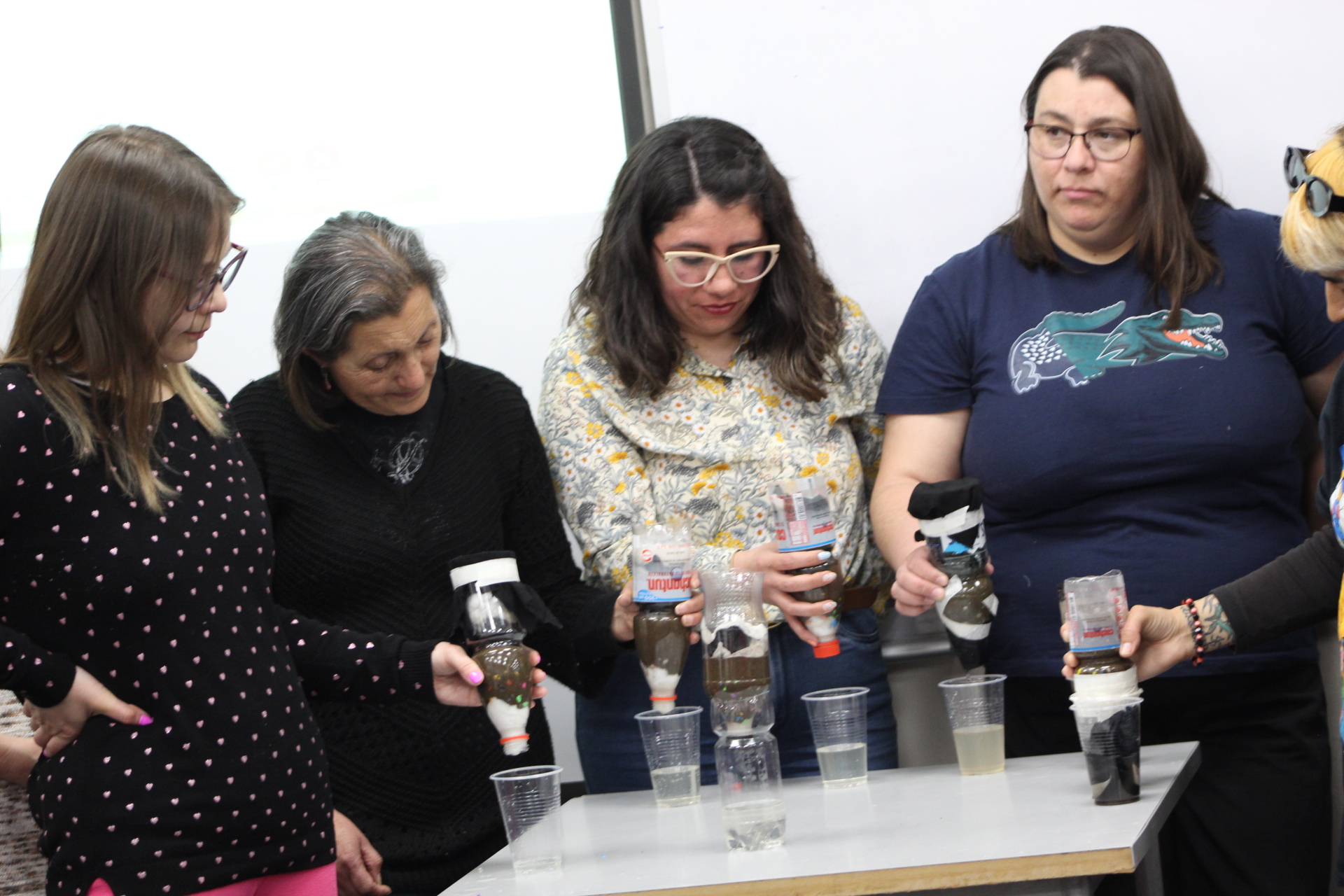 Programa Formación STEM+ CIDSTEM PUCV