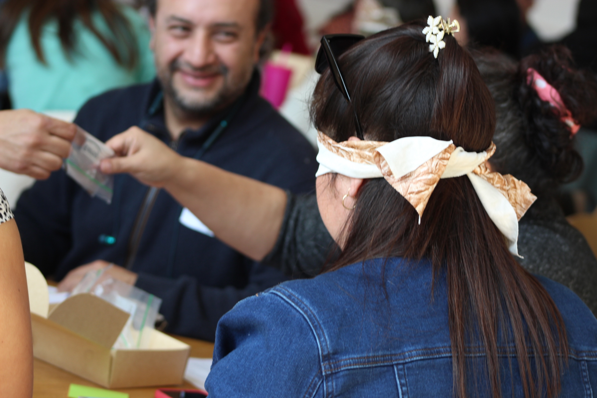 Programa Formación STEM+ CIDSTEM PUCV