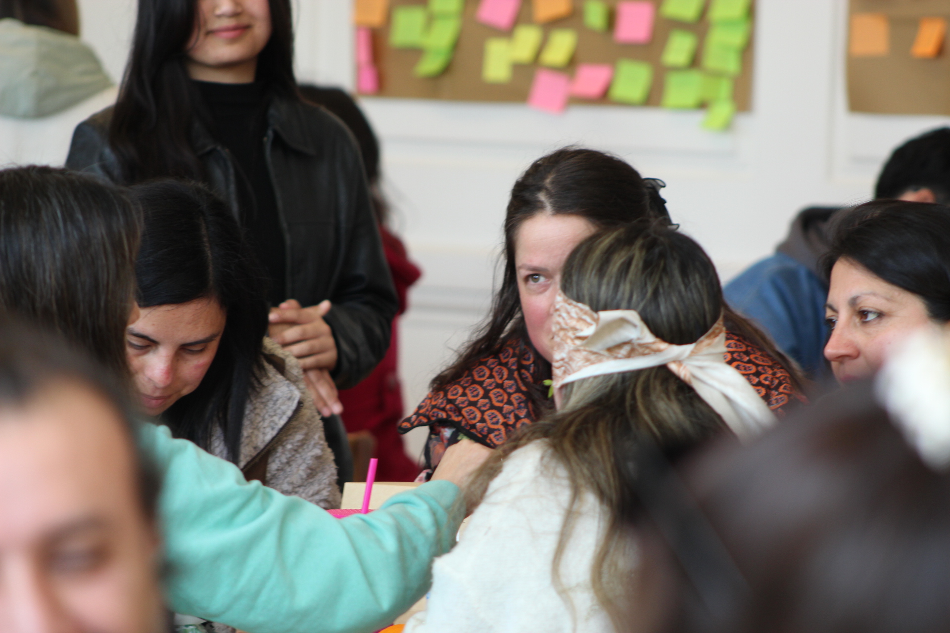 Programa Formación STEM+ CIDSTEM PUCV
