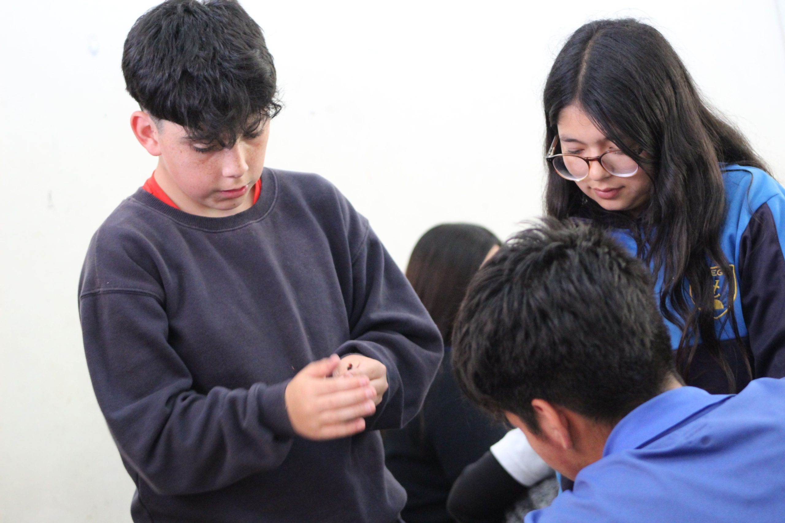 Valparaíso STEAM Challenge