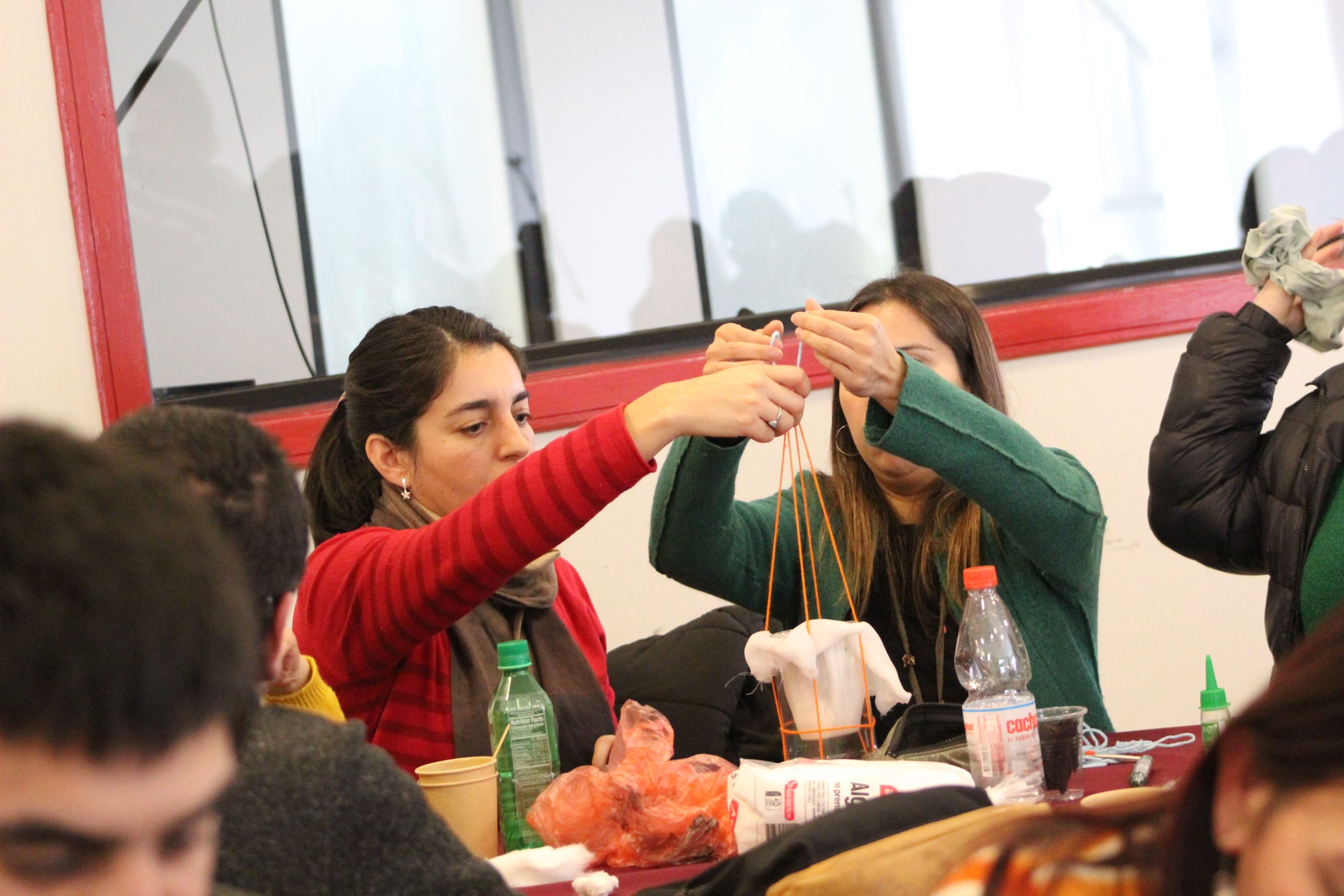 Programa Formación STEM+ CIDSTEM PUCV