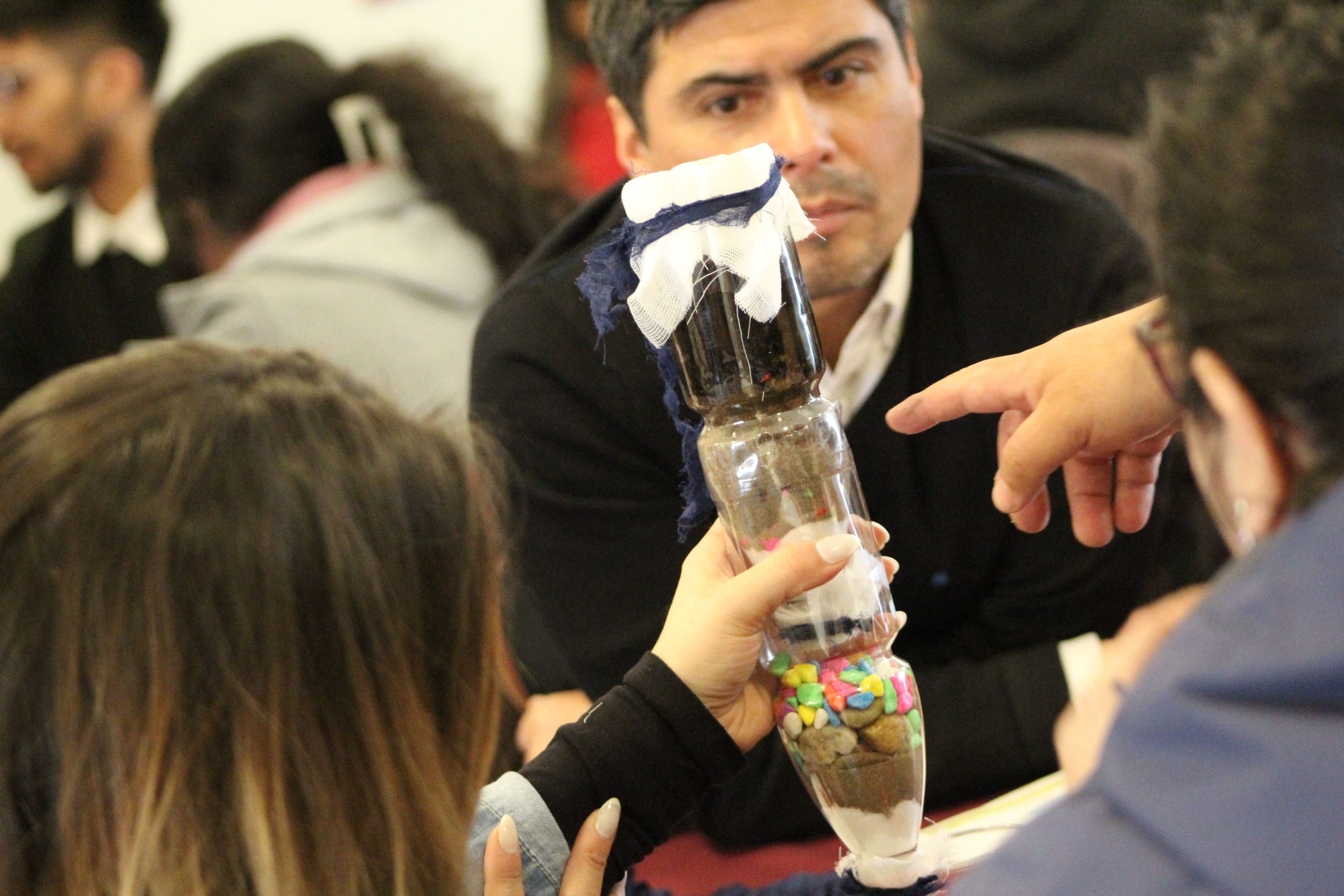 Programa Formación STEM+ CIDSTEM PUCV
