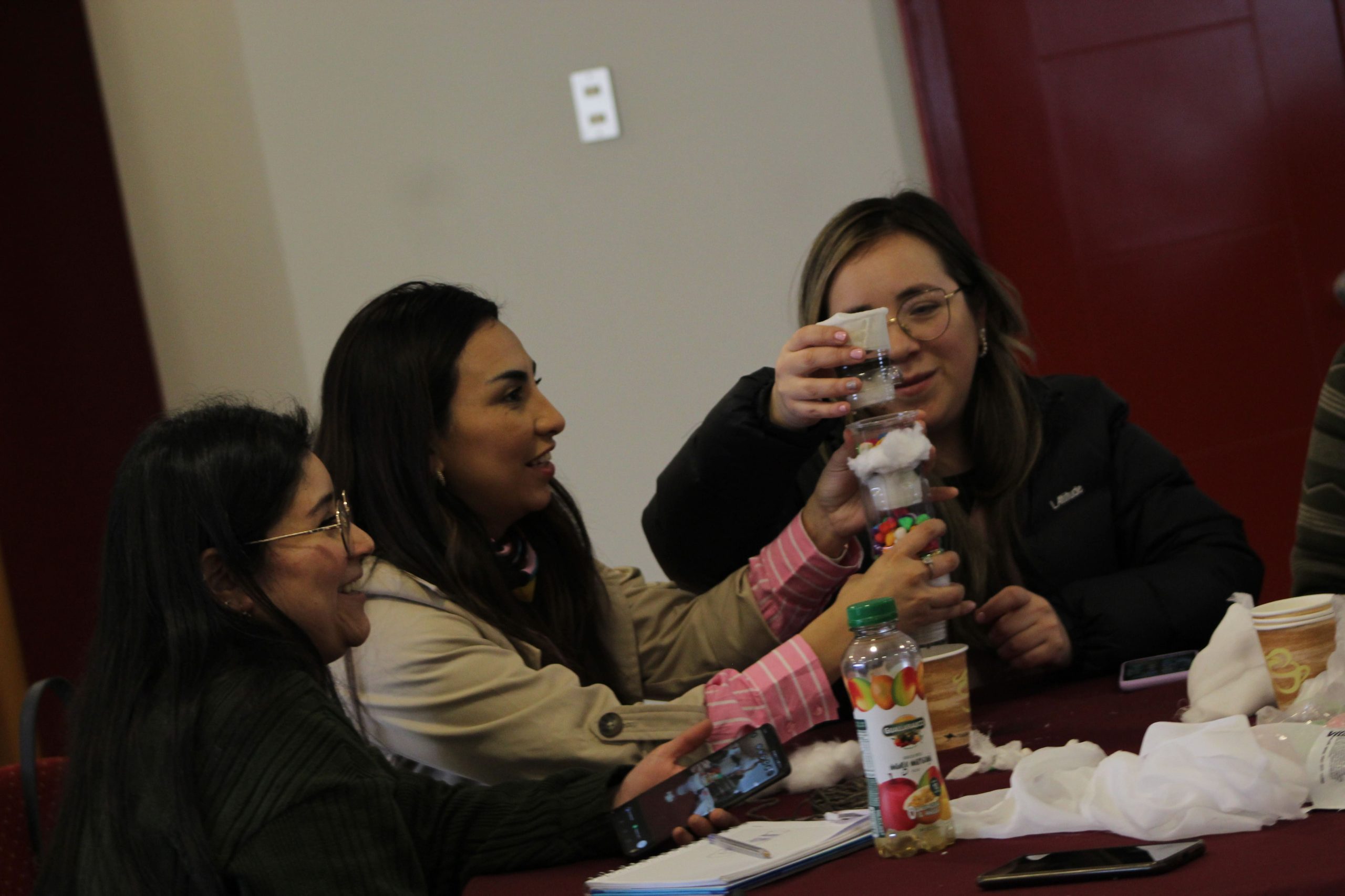 Programa Formación STEM+ CIDSTEM PUCV