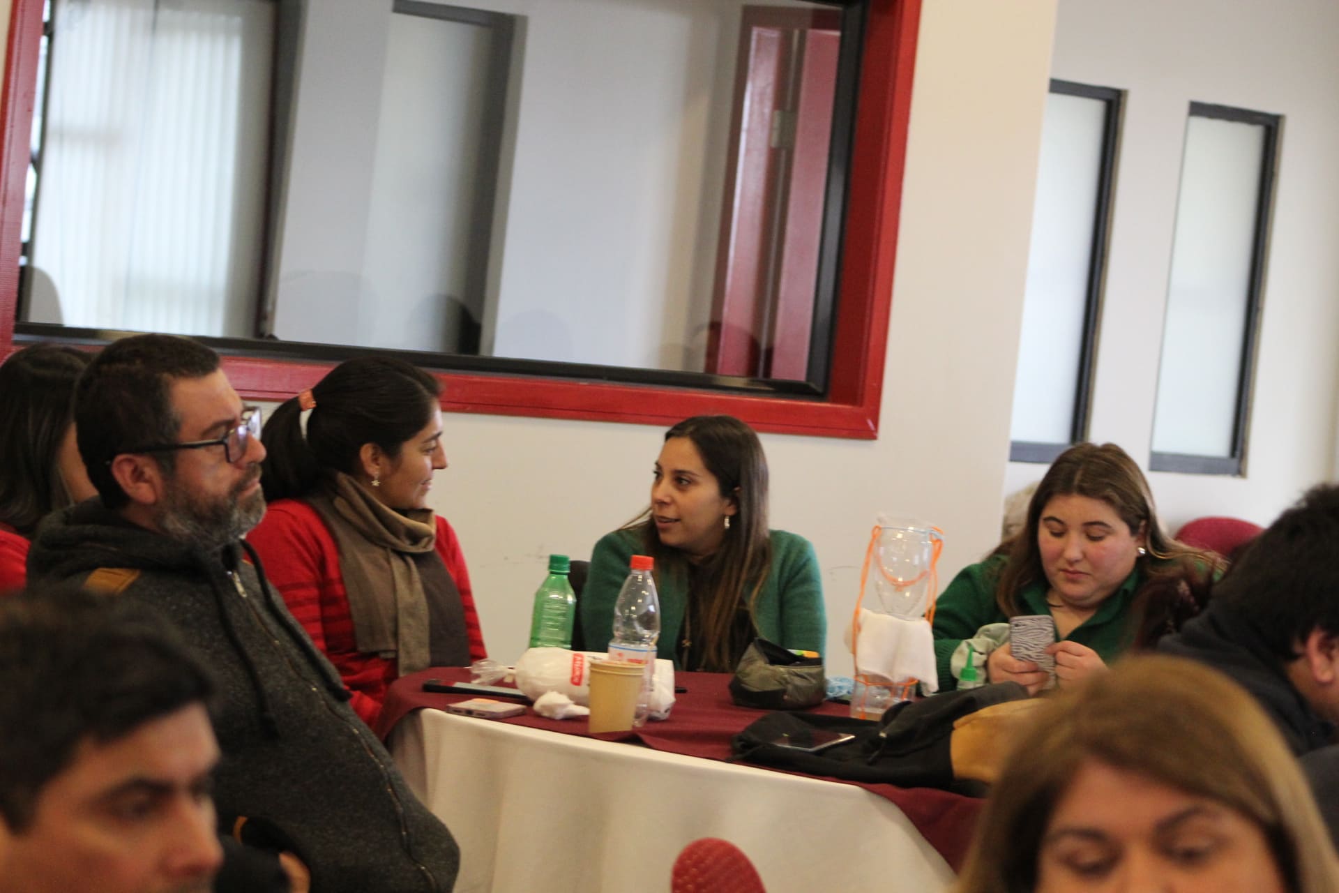 Programa Formación STEM+ CIDSTEM PUCV