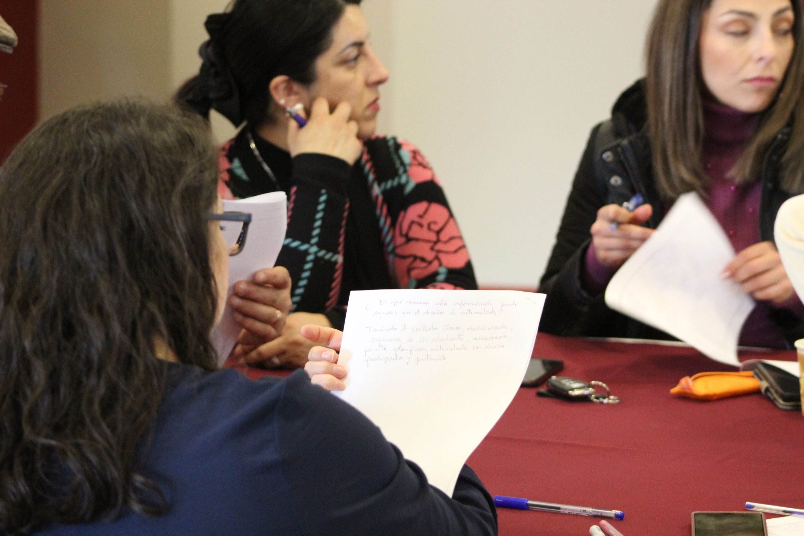 Programa Formación STEM+ CIDSTEM PUCV