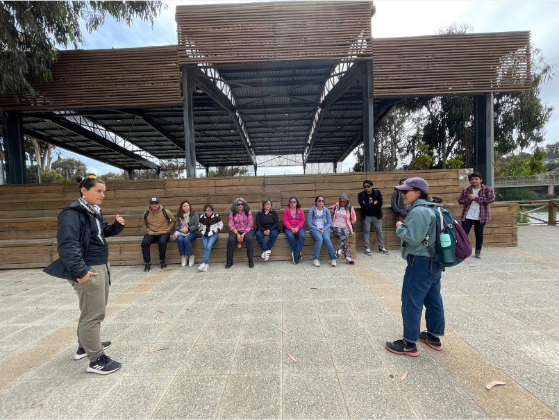 Taller de Observación de Aves se realizó junto a la Organización Chinchimén