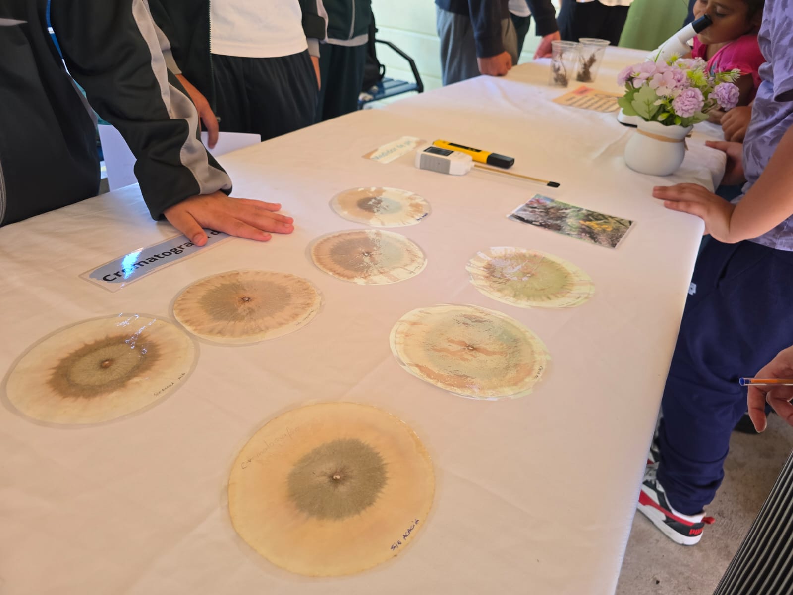 Muestra de Aprendizaje ICEC Coquimbo