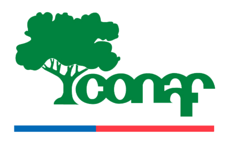 CONAF y el Centro de Investigación en Didáctica de las Ciencias CIDSTEM firman convenio